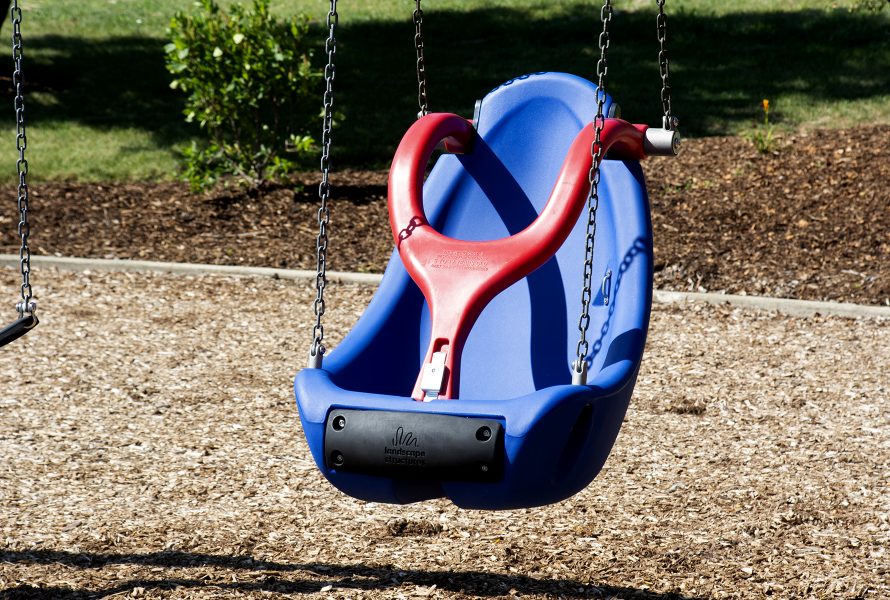 Accessible Swing