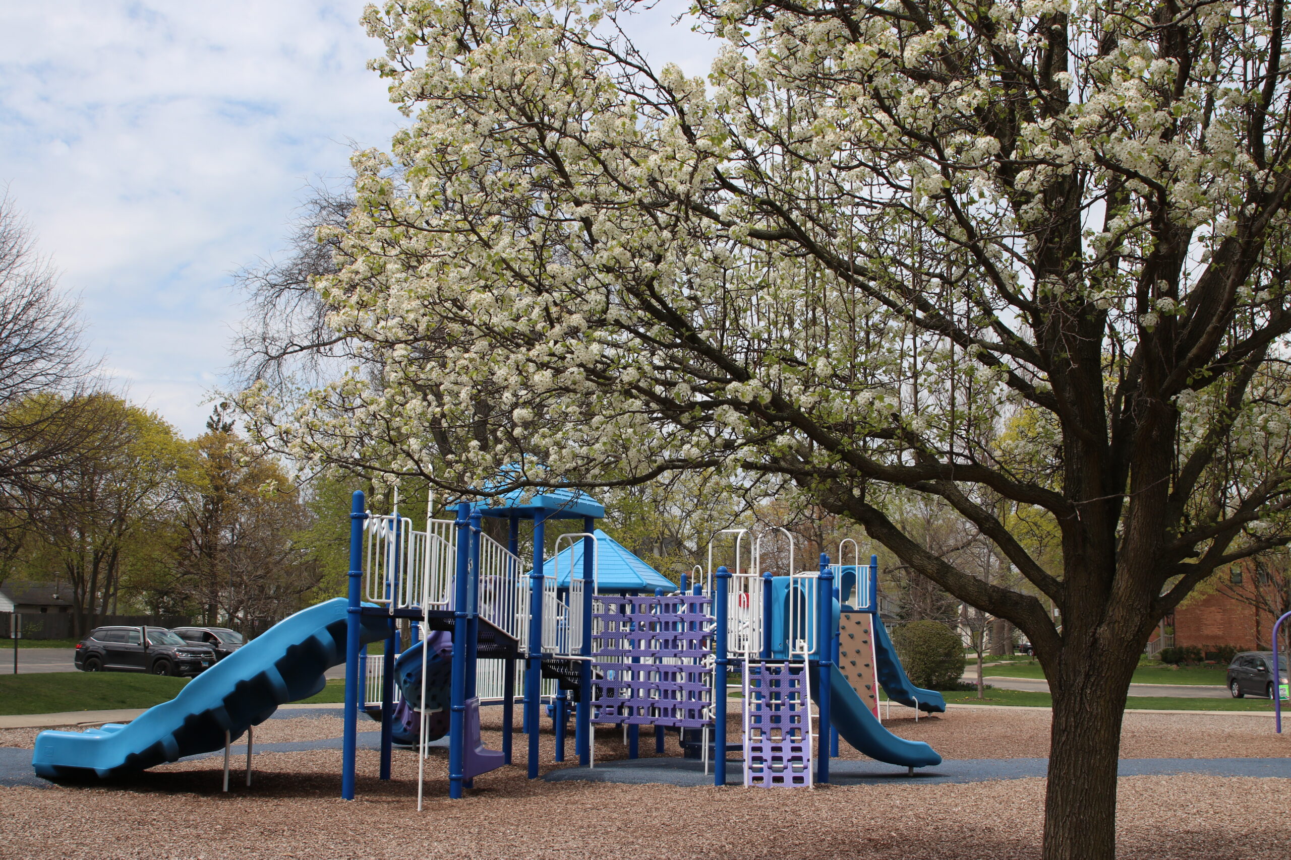 Maplewood Park in the Spring