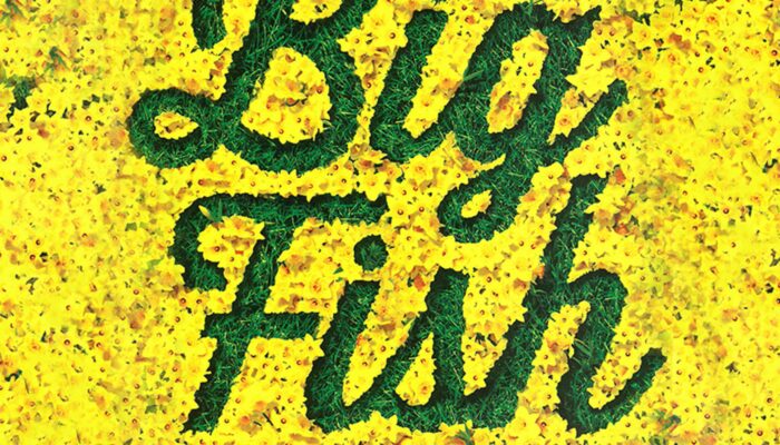 The title "Big Fish" in a field of yellow flowers